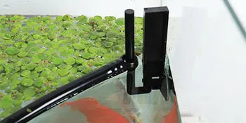 AquaFence Plant Guard