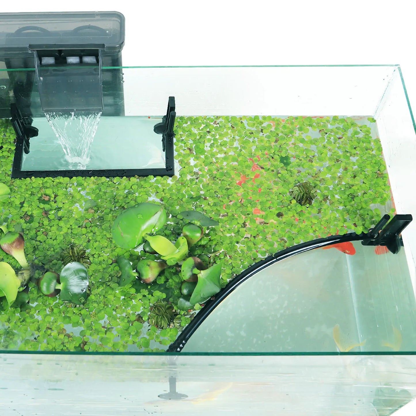 AquaFence Plant Guard