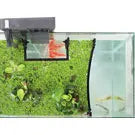 AquaFence Plant Guard