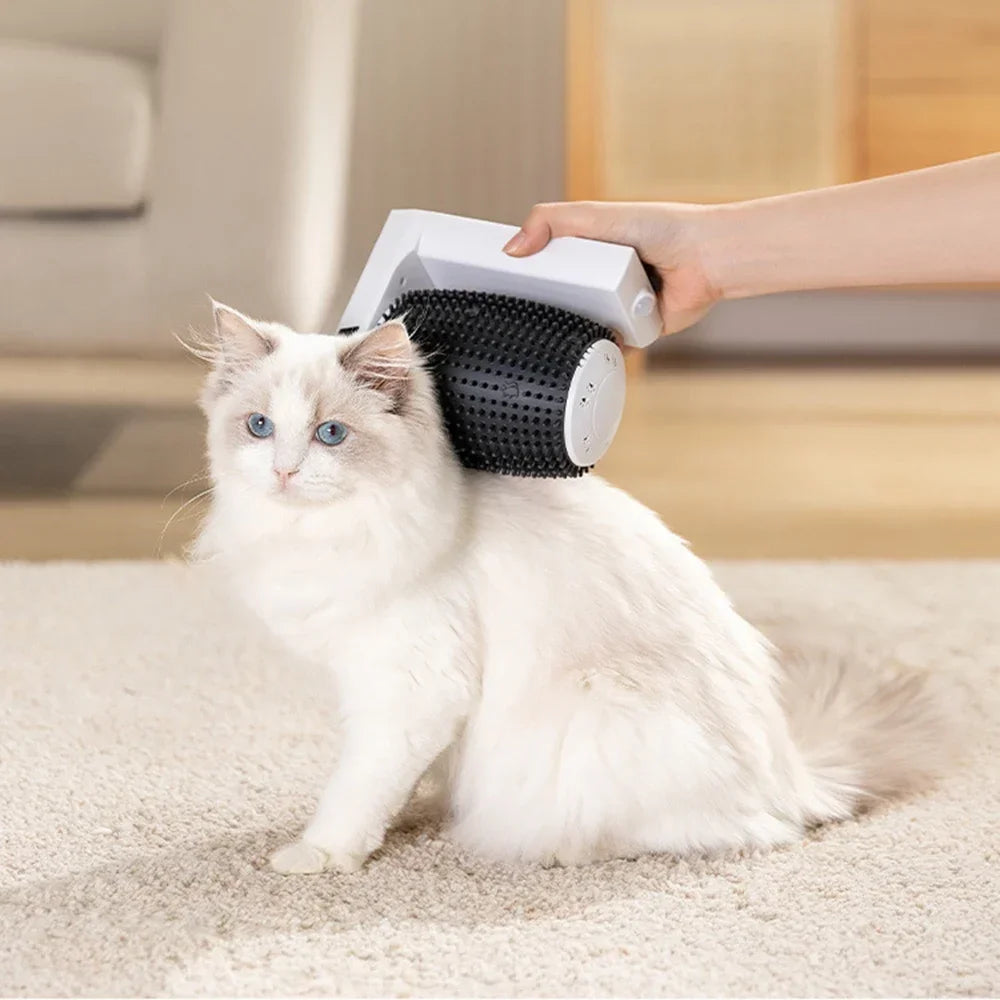 PurrSpin Auto-Brush