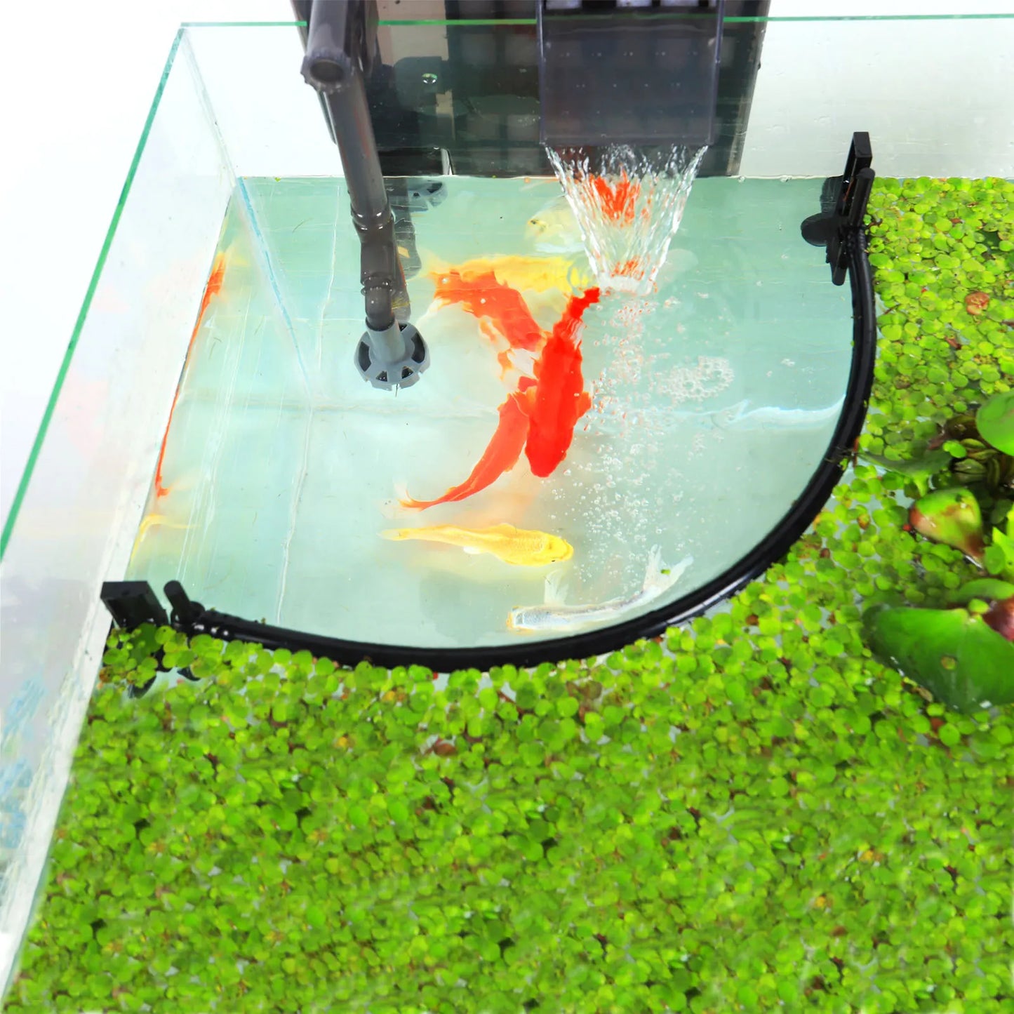 AquaFence Plant Guard