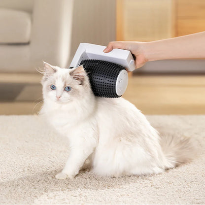 PurrSpin Auto-Brush