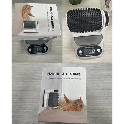 PurrSpin Auto-Brush