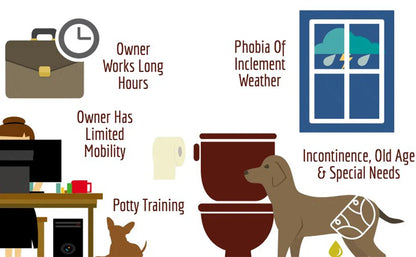 PuppyPotty Pro